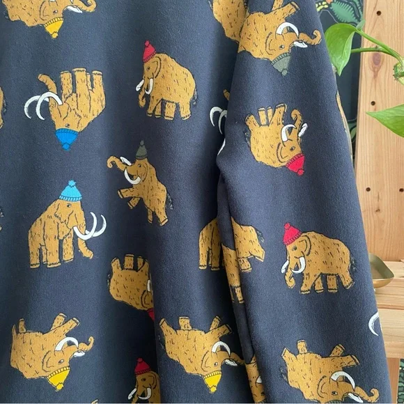 Hanna Andersson Colorful Winter Woolly Mammoth Crewneck Sweatshirt - Picture 8 of 12